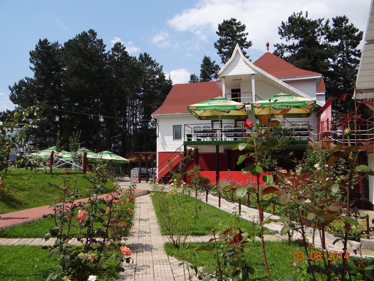 Cabana Pensiune La Brazi Vulcan  Exterior foto